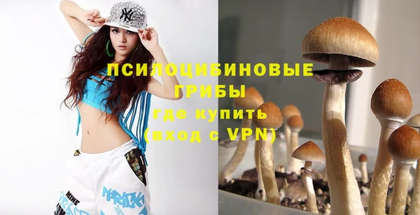 прущие крисы Абинск
