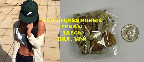 индика Алзамай