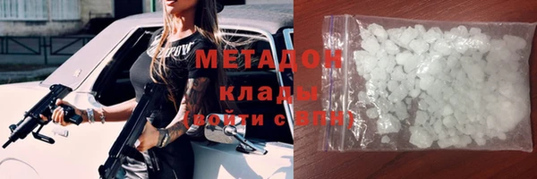 индика Алзамай