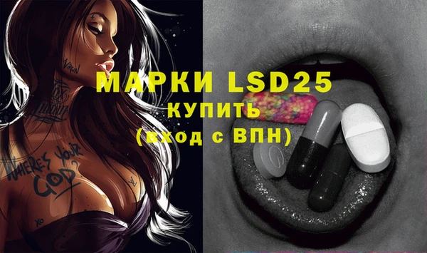 индика Алзамай