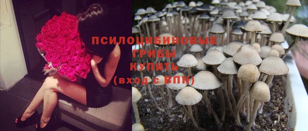 индика Алзамай