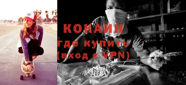 индика Алзамай