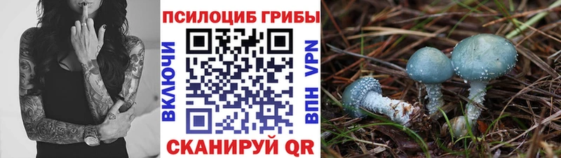 Псилоцибиновые грибы Cubensis  OMG ONION  Собинка 